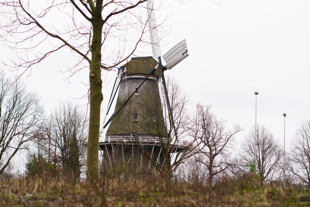 The windmill