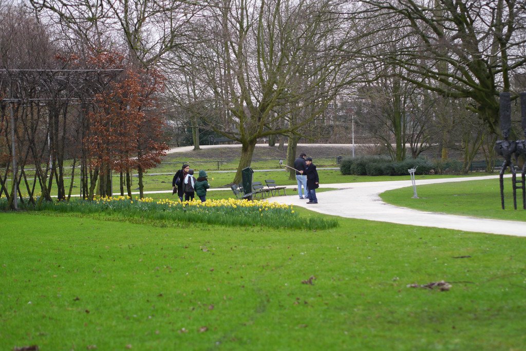 Photo shooting with the daffodils