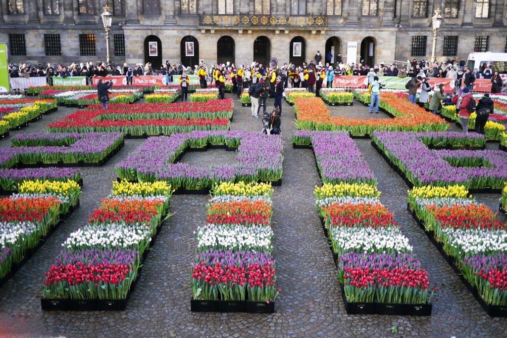 National Tulip Day in Dam Square