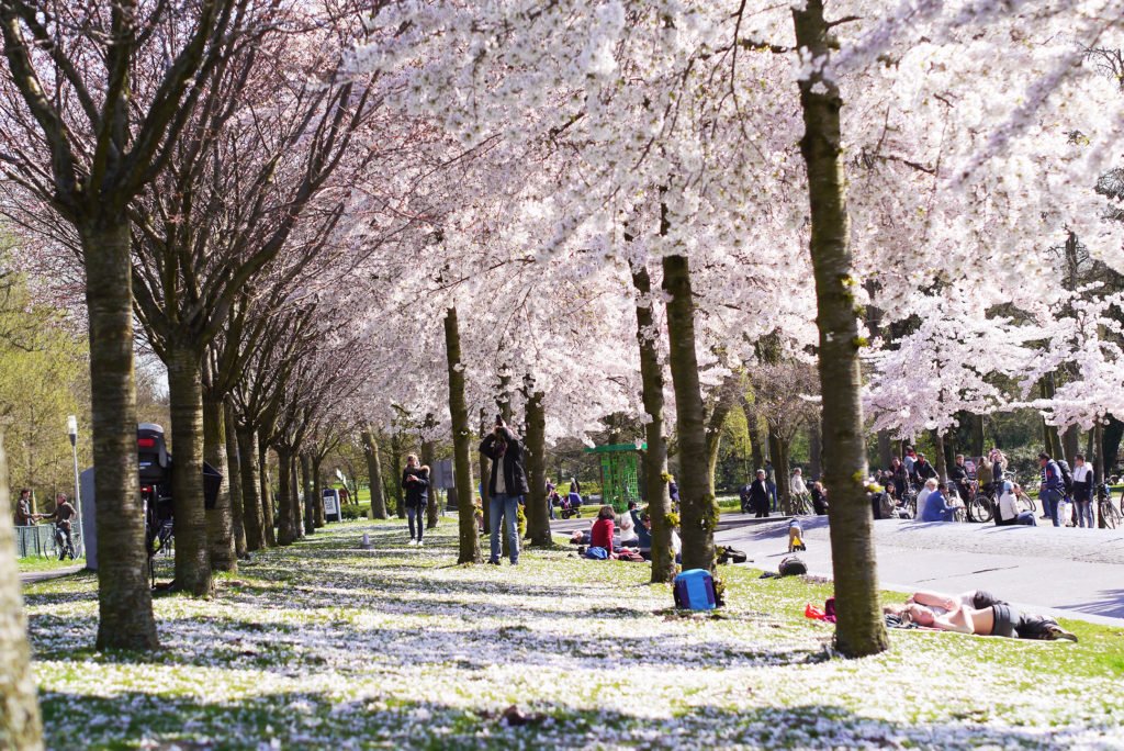 Springtime in Amsterdam 06