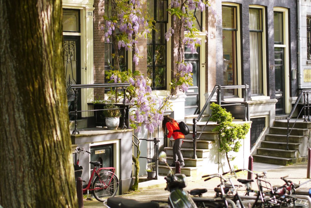 Springtime in Amsterdam 20