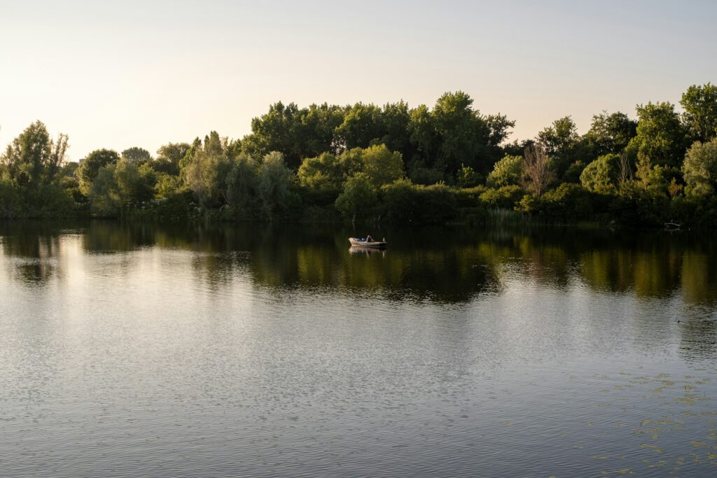 Haarlem park