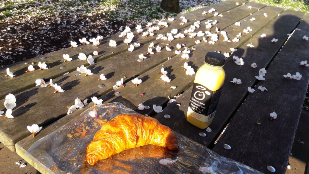 Breakfast under the cherry trees