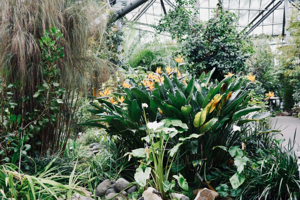 Hortus Botanicus 03