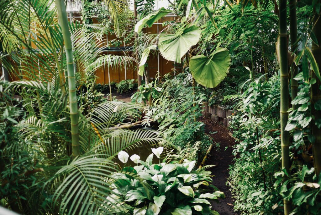 Hortus Botanicus 13