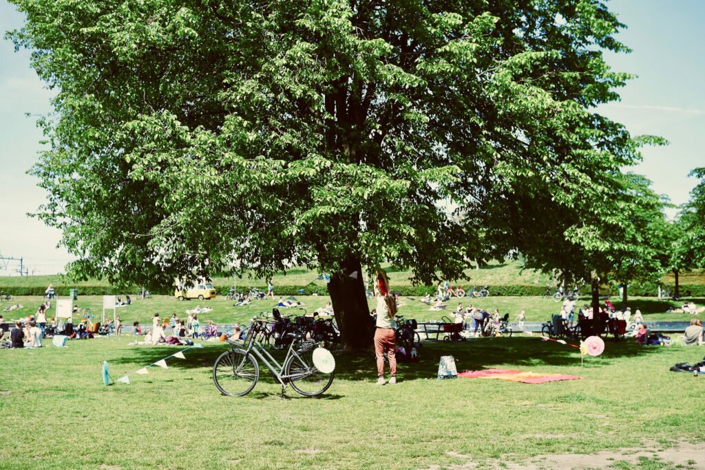 Sunny day in the park