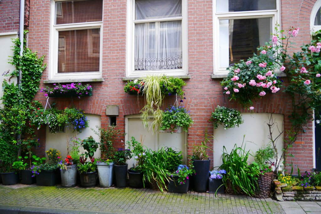 Flowers on a street in Amsterdam