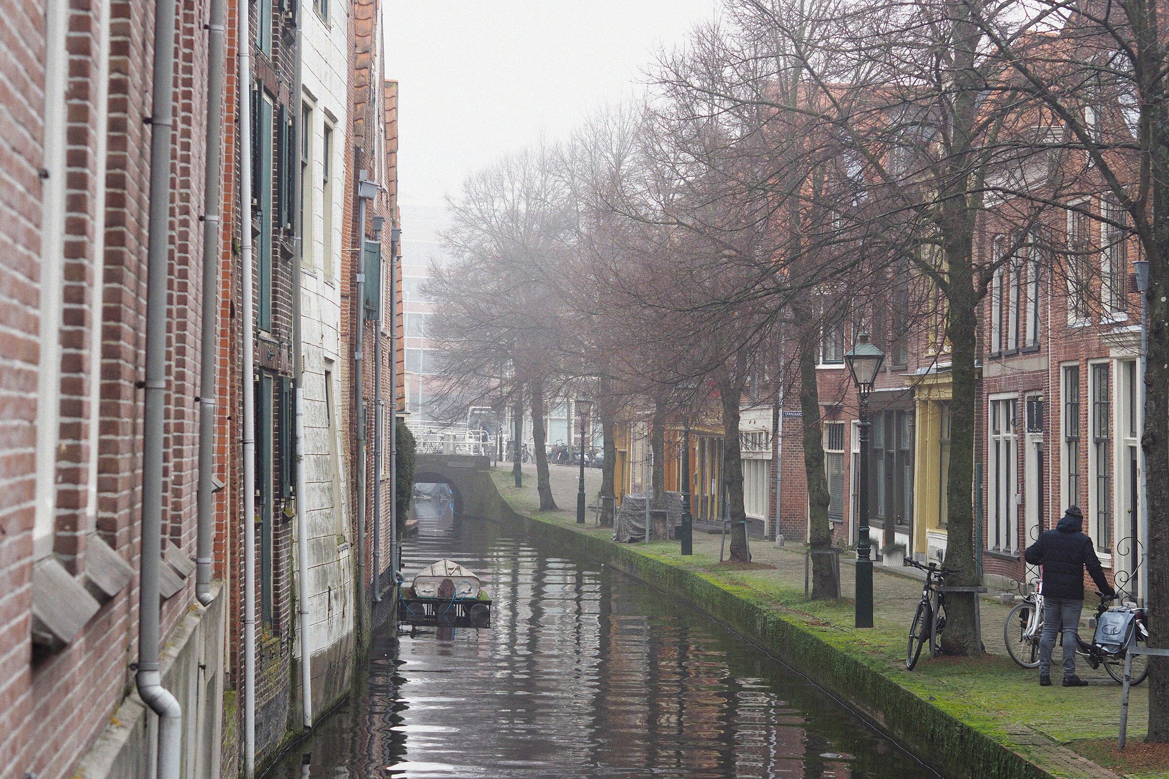 A Misty Start of the Year