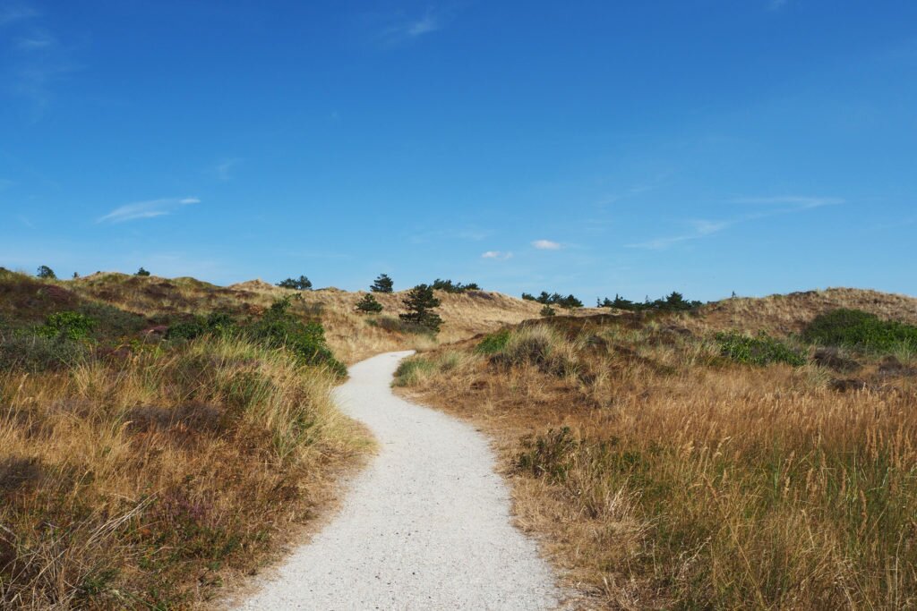 Trip to Texel Island