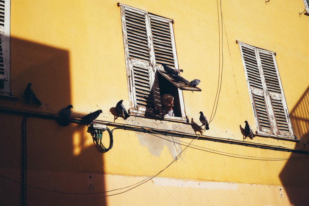 Woman feeding pigeons from her window, Menton