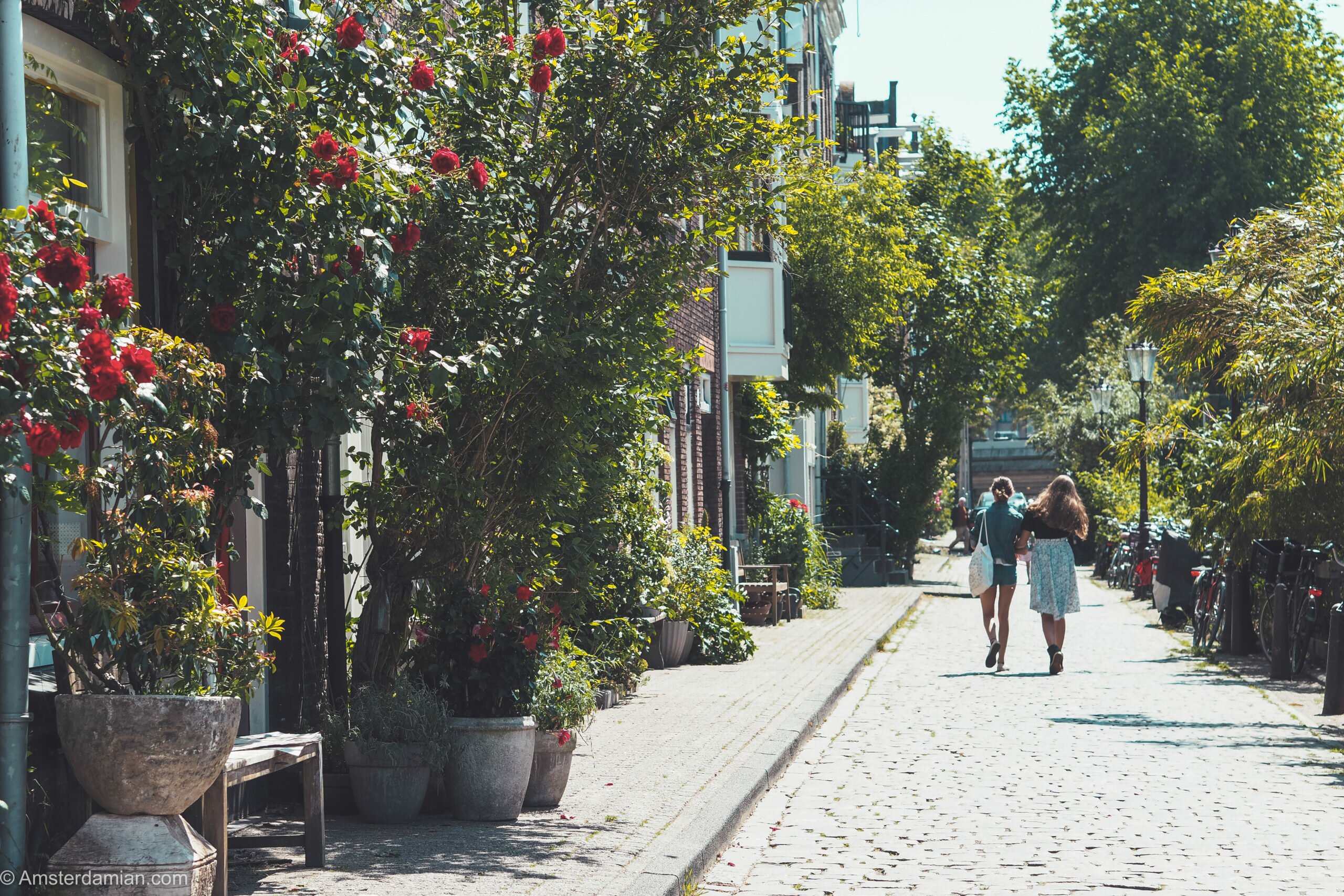 Nostalgic Visit to Amsterdam