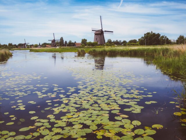 Green Netherlands: Oudorperhout