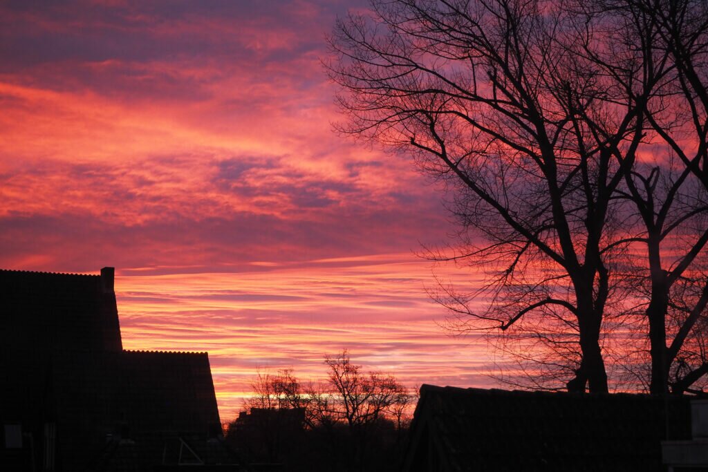 Sunrise from my window