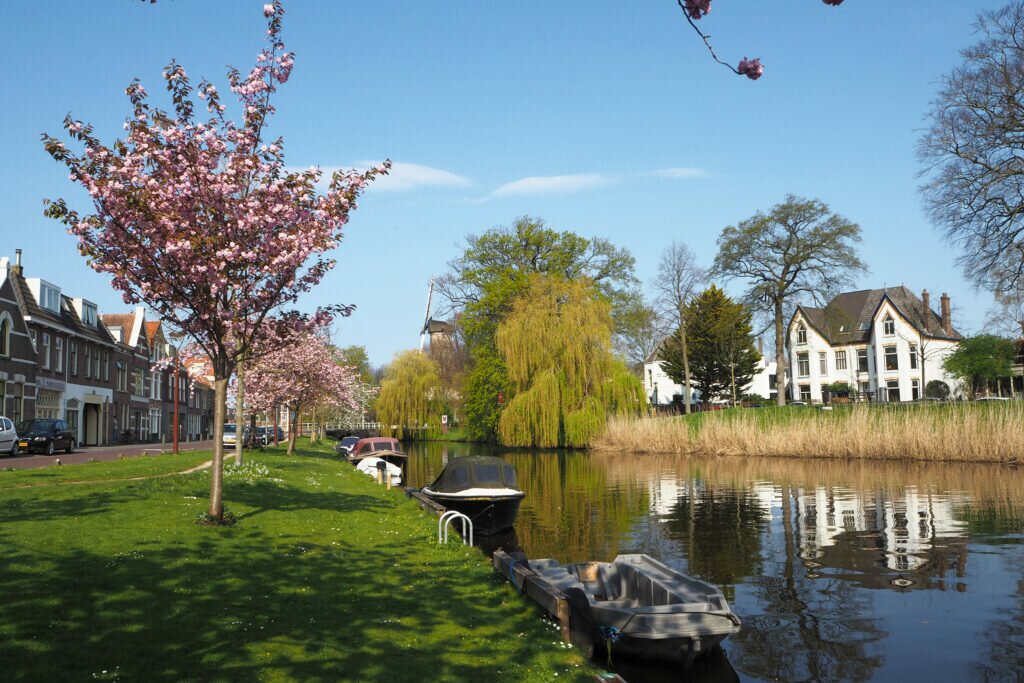 Alkmaar in spring