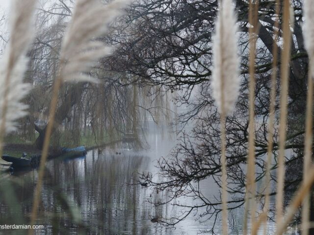 Looking for Beauty in Winter