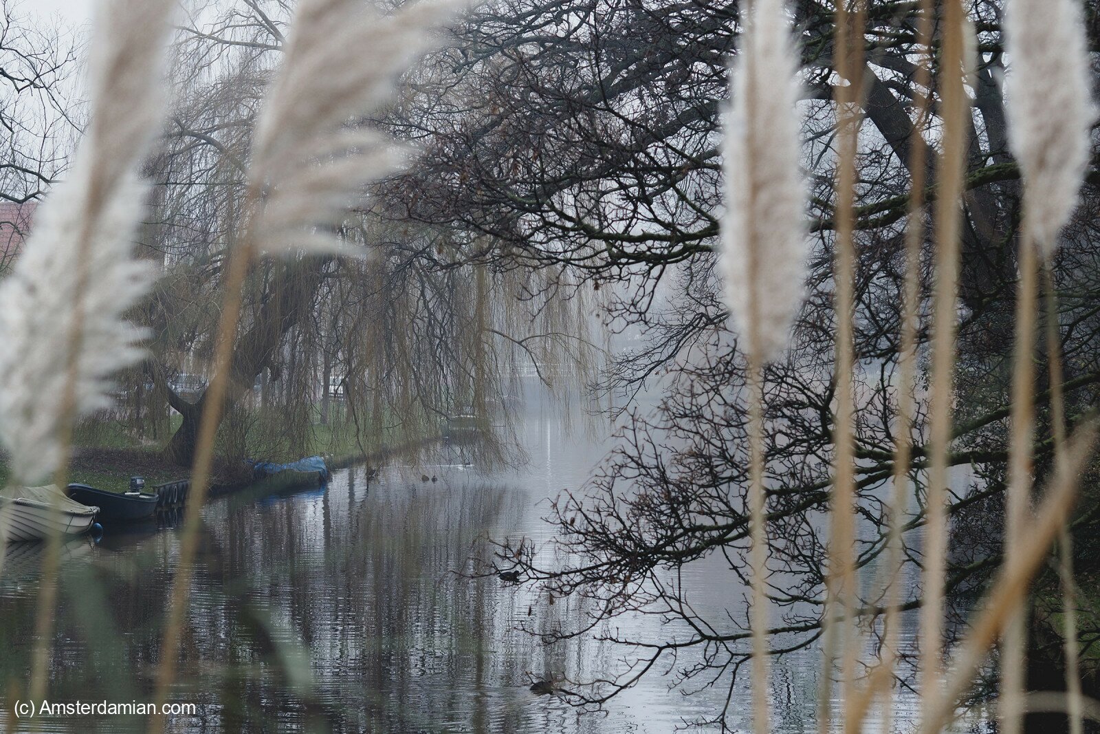 Looking for Beauty in Winter