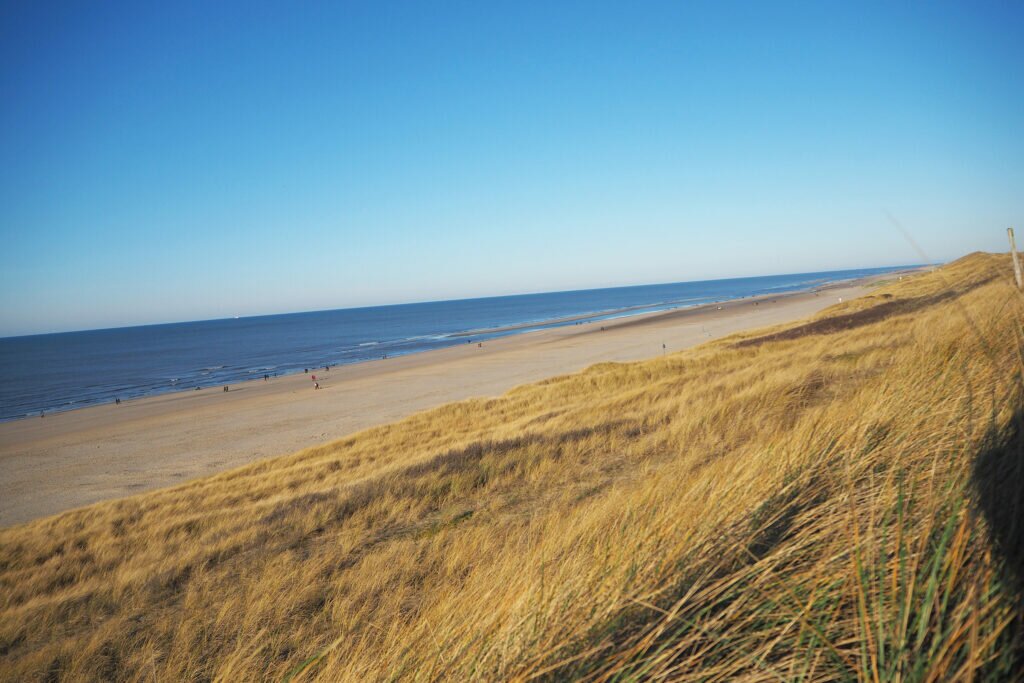 Sand dunes North Holland