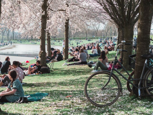 Best Places to Enjoy Spring in Amsterdam