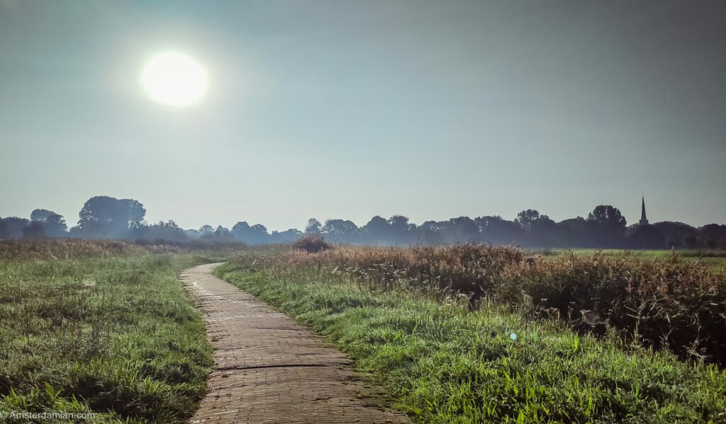 Early morning in the polder