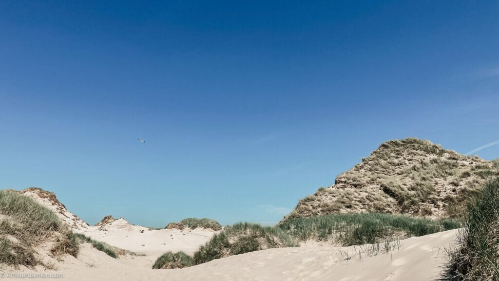 dunes egmond aan zee