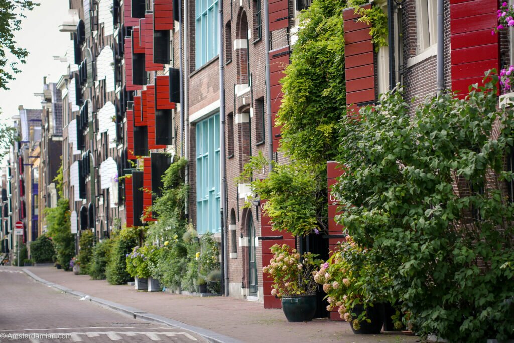 Amsterdam green streets