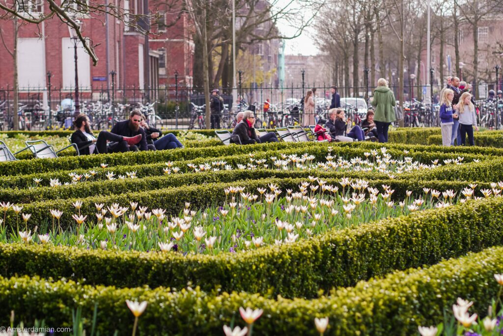 Rijksmuseum garden
