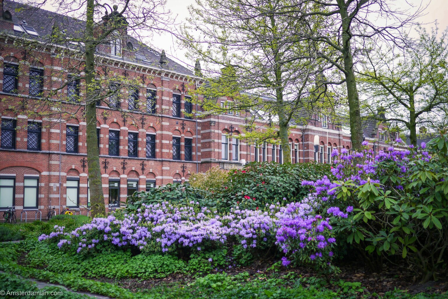 Amsterdam gardens. Spend the summer surrounded by flowers | Amsterdamian