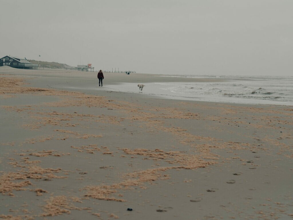 Petten aan Zee