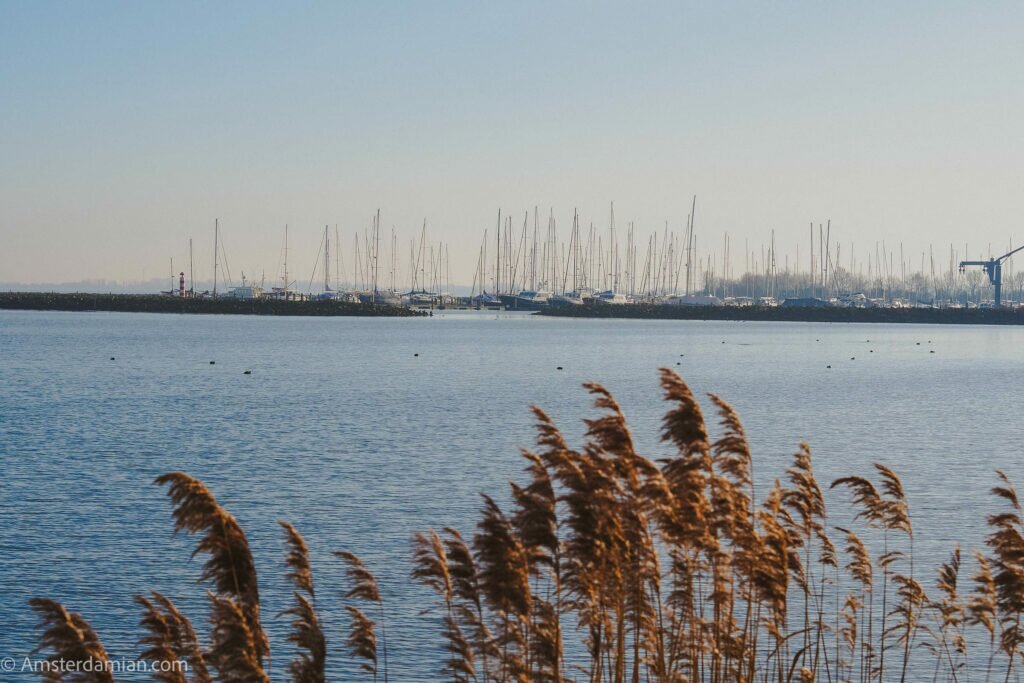 Marina in Medemblik 13