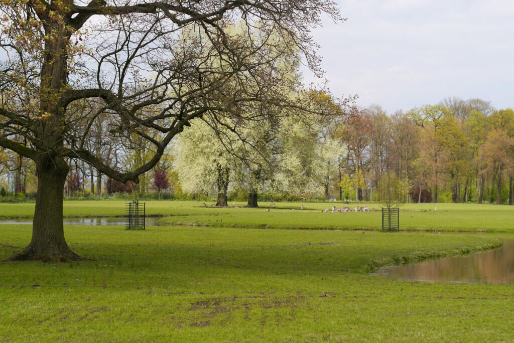 Kasteel de Haar 06