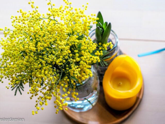 Let’s Bring Spring in Our Home!