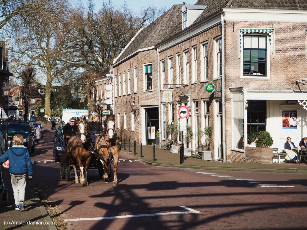 Horse drawn carriage in Abcoude