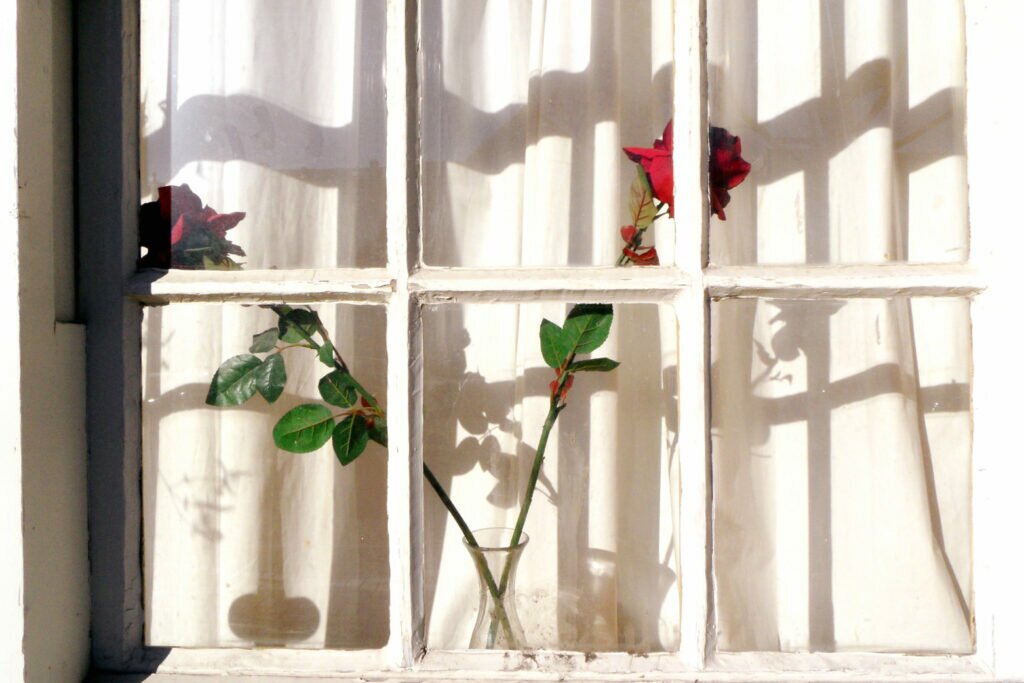 Roses in the window