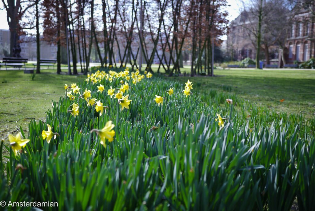 Signs of Spring 10