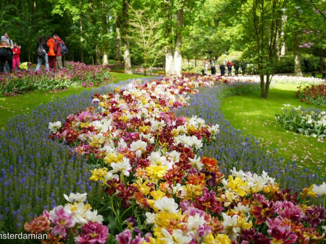 Keukenhof: One of the Most Beautiful Gardens in Europe