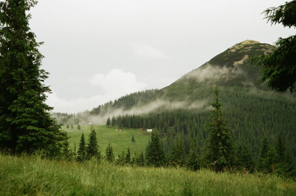 Carpathian Mountains