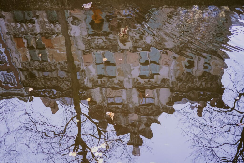 Delft reflections