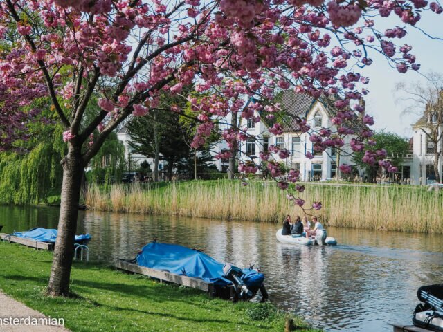 Pros and Cons of Moving to a Small City as an Expat in the Netherlands