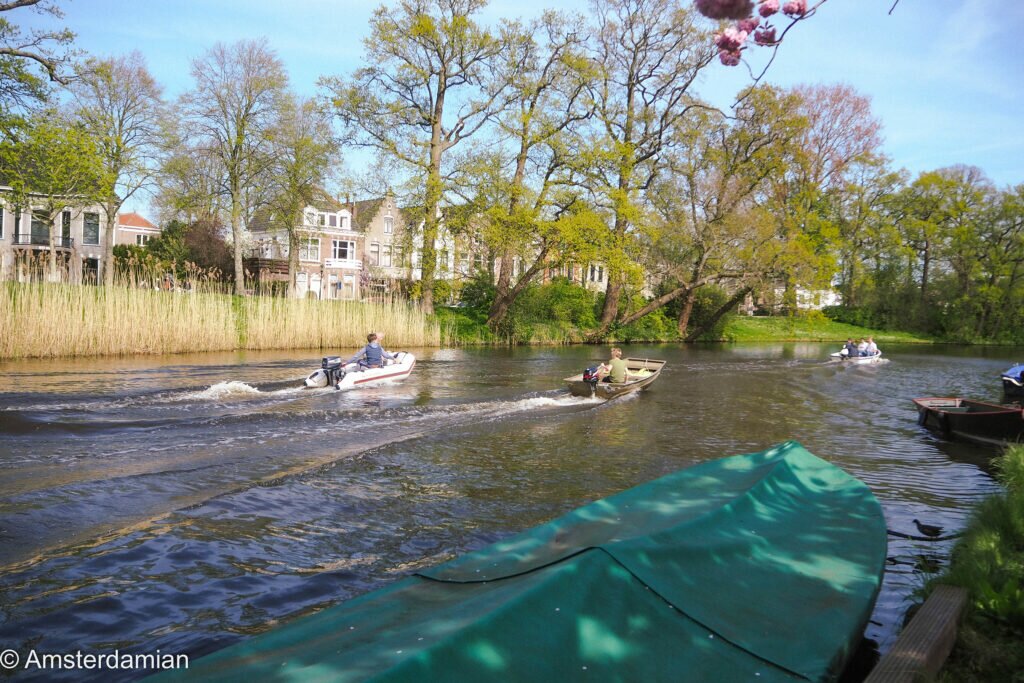 Cherry Blossom Alkmaar 08