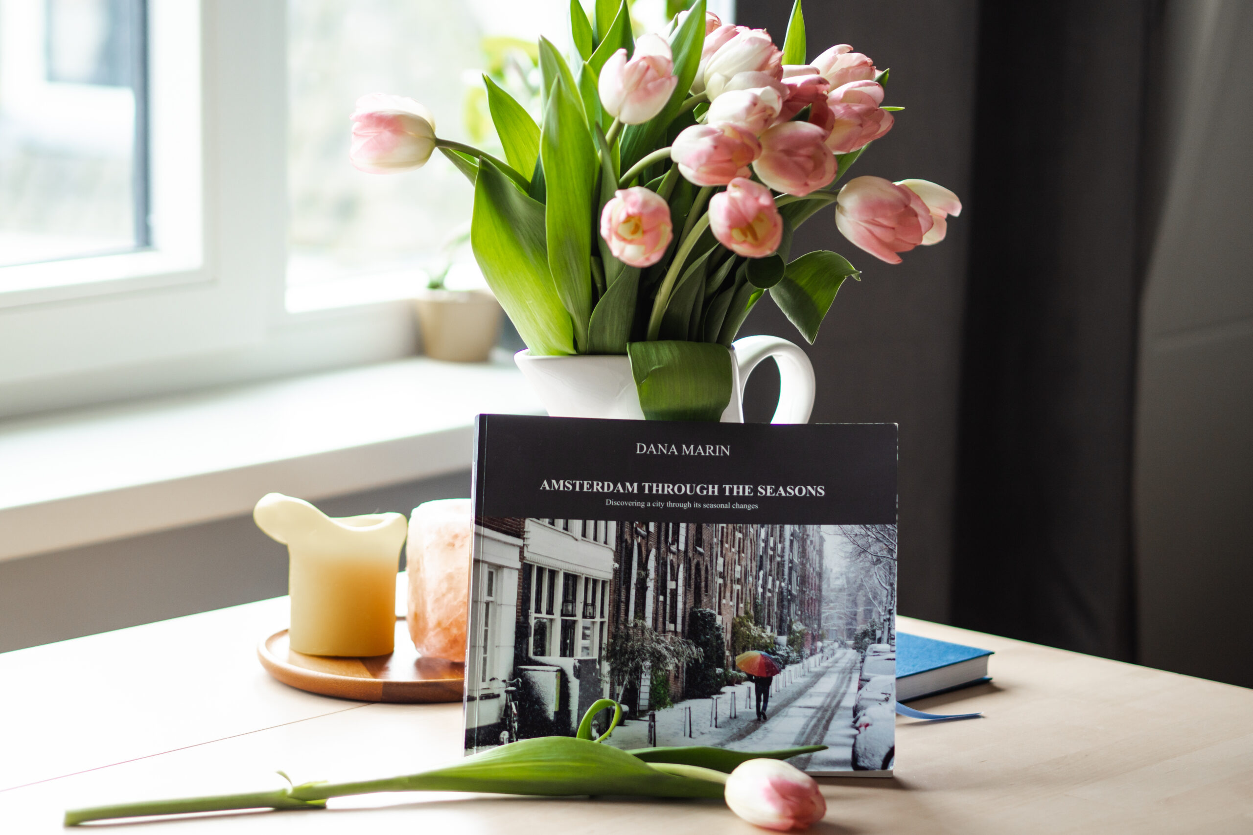 Amsterdam Through the Seasons: My First Photo Book is Now Published!