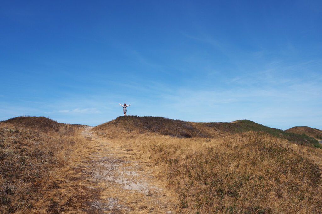 Dunes on Texel Island