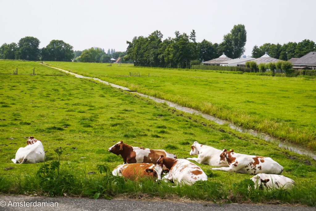 Bike ride countryside