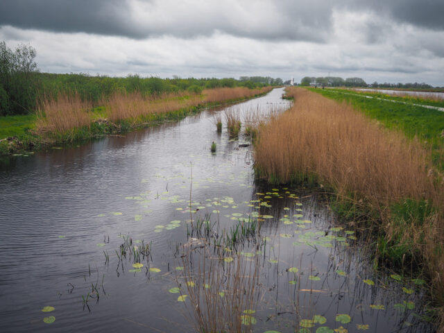 Discovering Dutch Nature: De Alde Feanen National Park