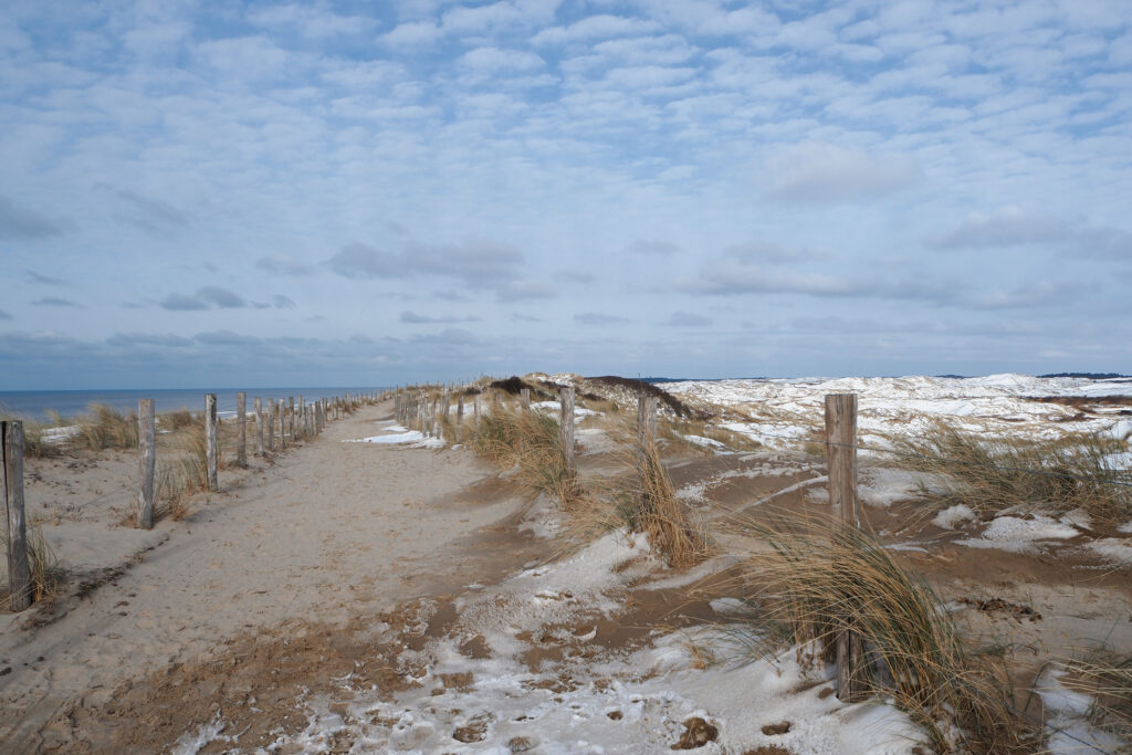 Egmond dunes with snow