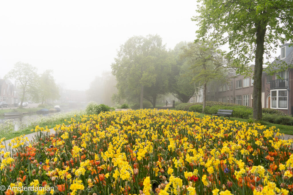 Foggy May Morning Alkmaar 03
