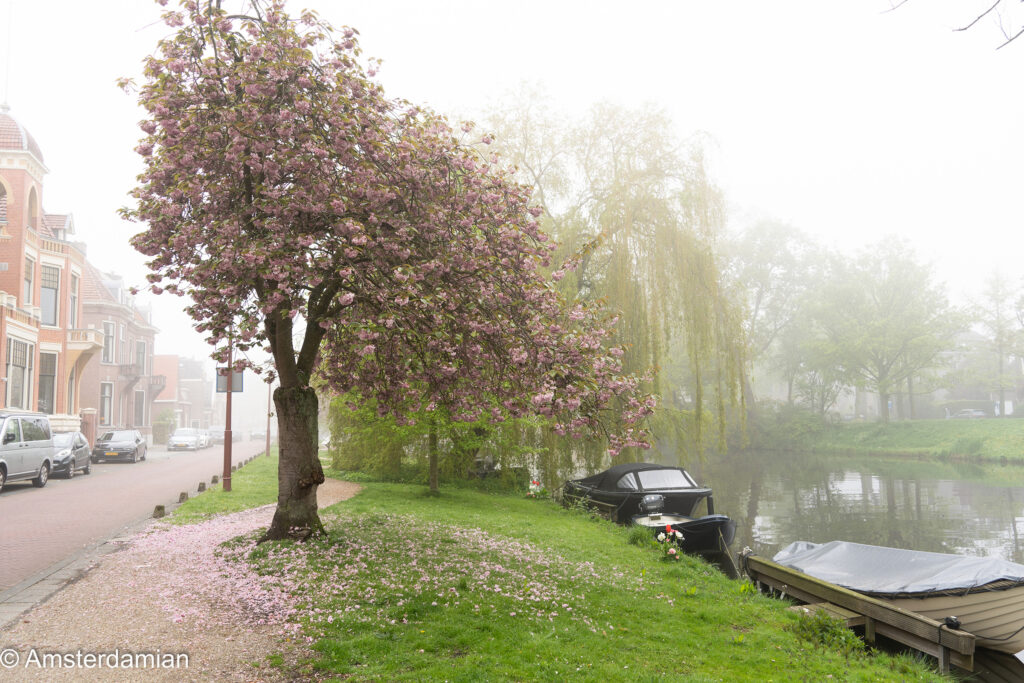 Foggy May Morning Alkmaar 05