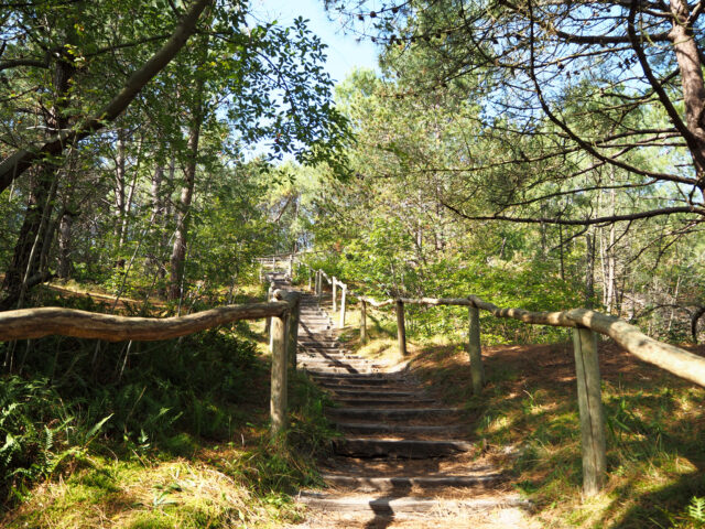 Best Summer Day-Trips from Amsterdam