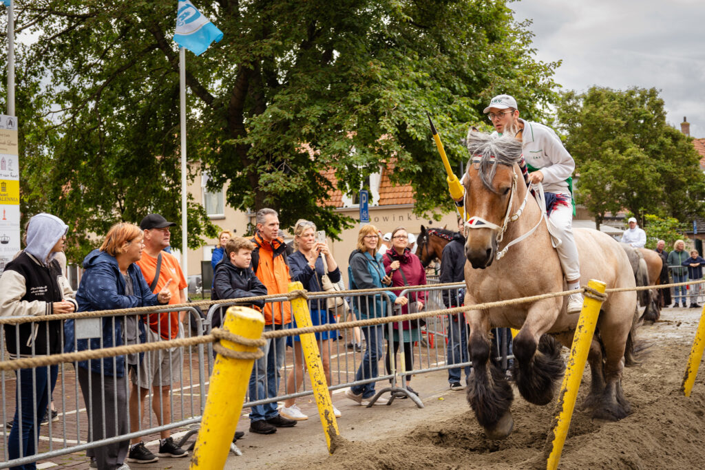 Ring Riding Domburg