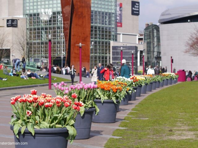 What To Do in Amsterdam in April 2024