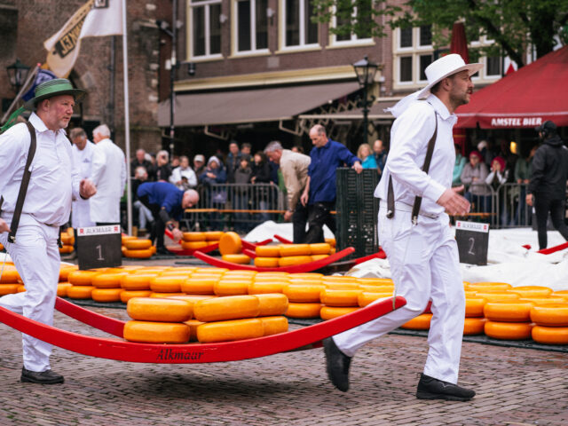 Say Cheese! A visit to Alkmaar Cheese Market